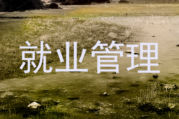 就业管理