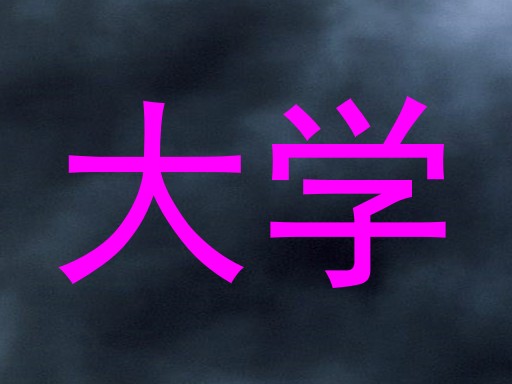 大学