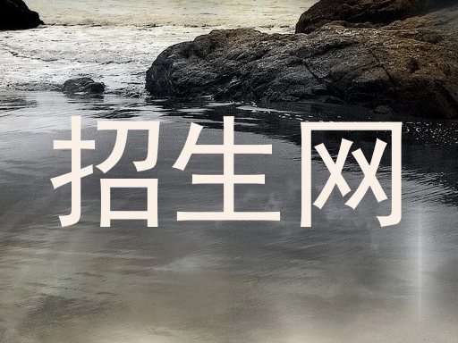 招生网
