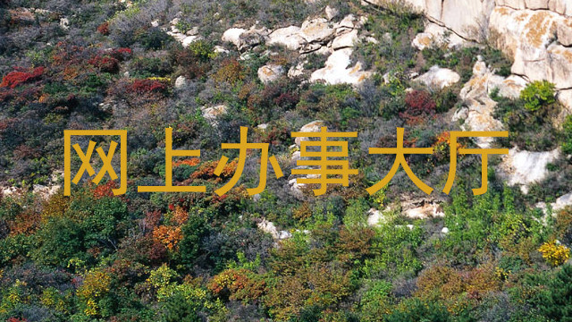 网上办事大厅