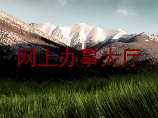 网上办事大厅