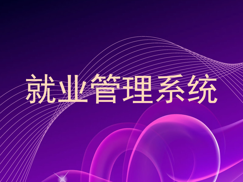 就业管理系统
