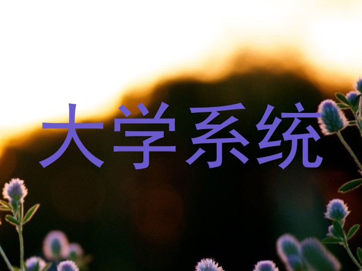 大学系统
