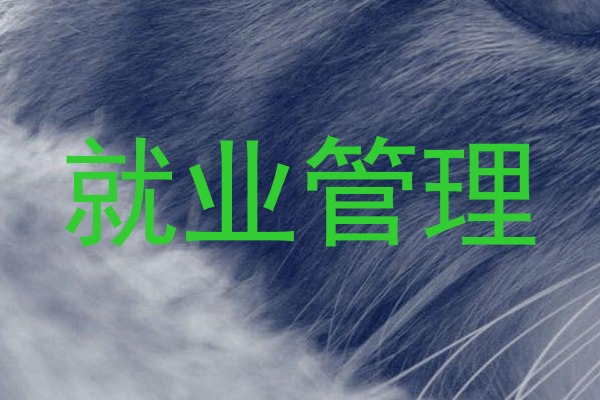 就业管理