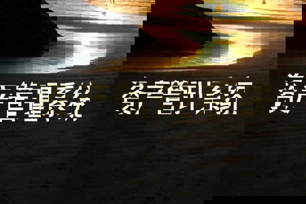 资产管理系统