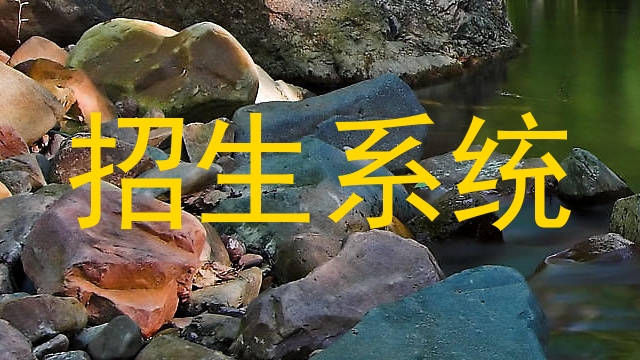 招生系统