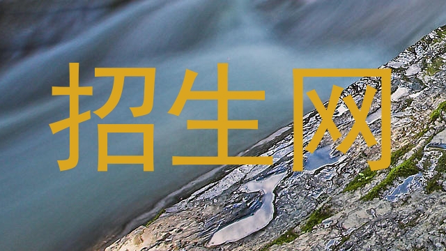 招生网