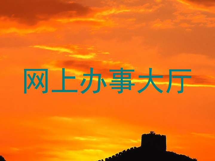 网上办事大厅