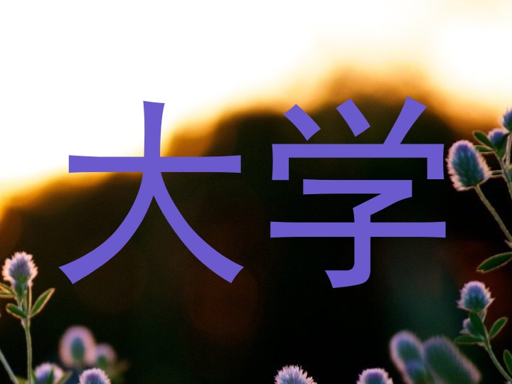 大学