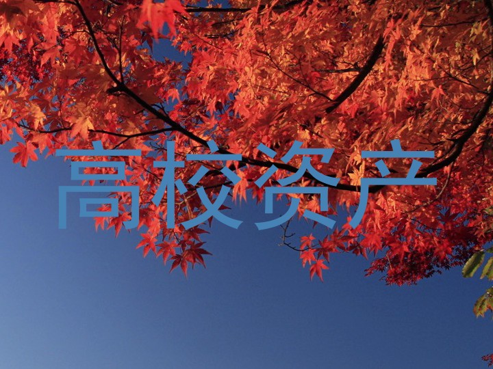 高校资产