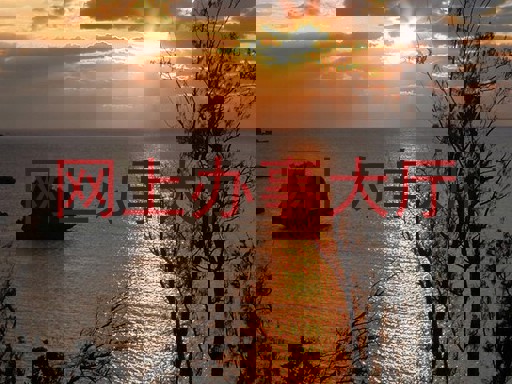网上办事大厅