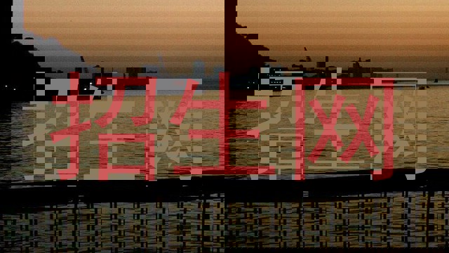 招生网