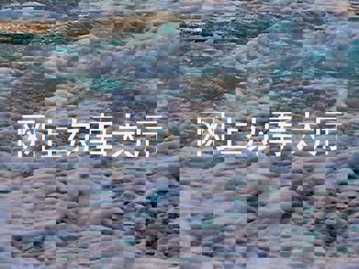 网上办事大厅