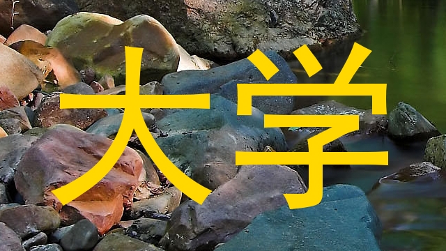 大学