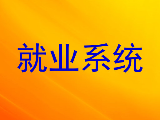 就业系统
