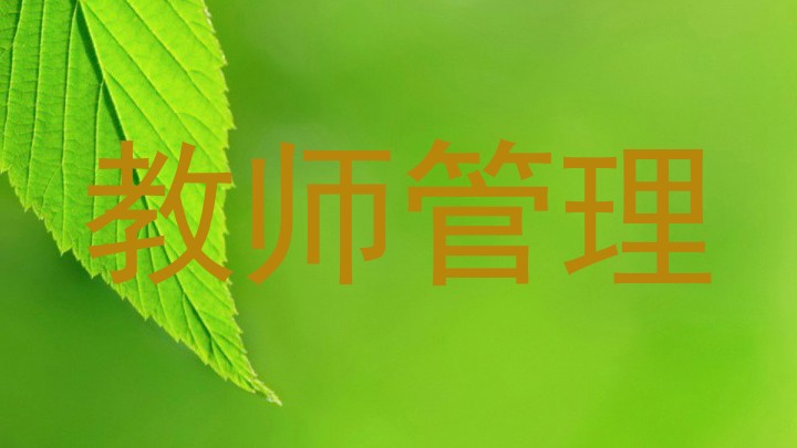教师管理