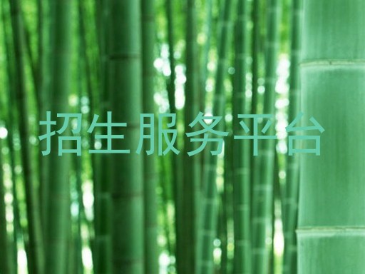招生服务平台