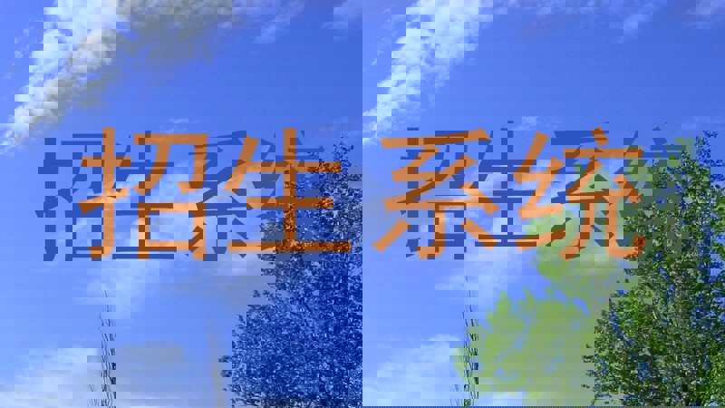 招生系统