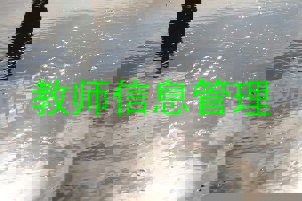 教师信息管理