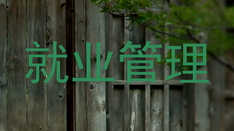 就业管理