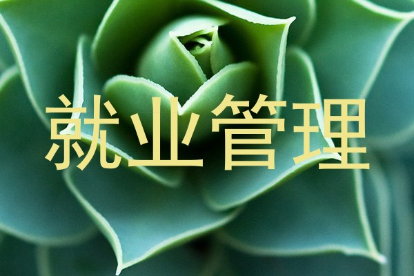 就业管理