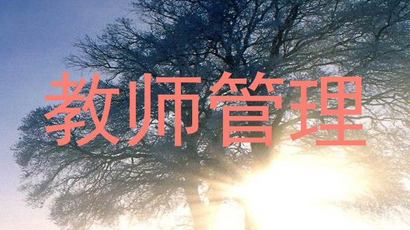 教师管理