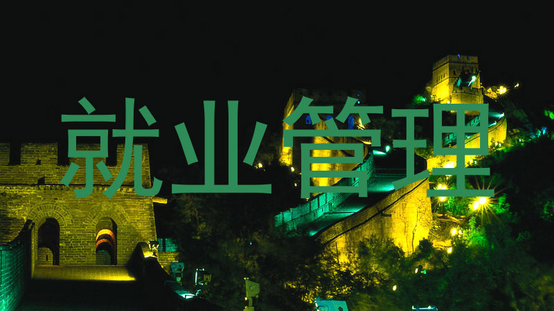 就业管理