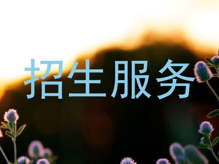 招生服务