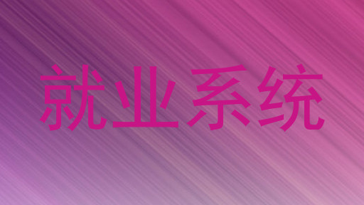就业系统