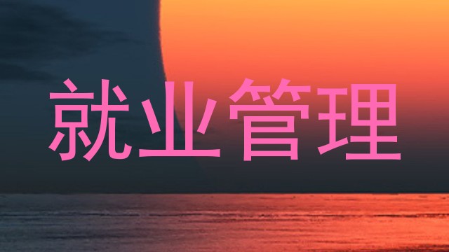 就业管理