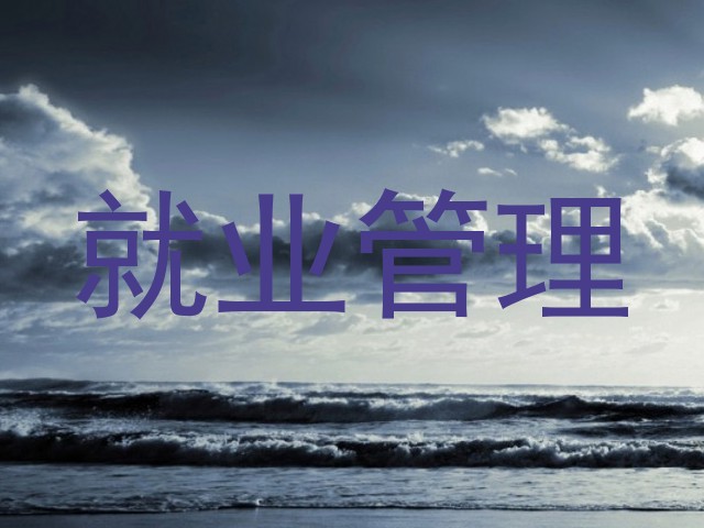 就业管理
