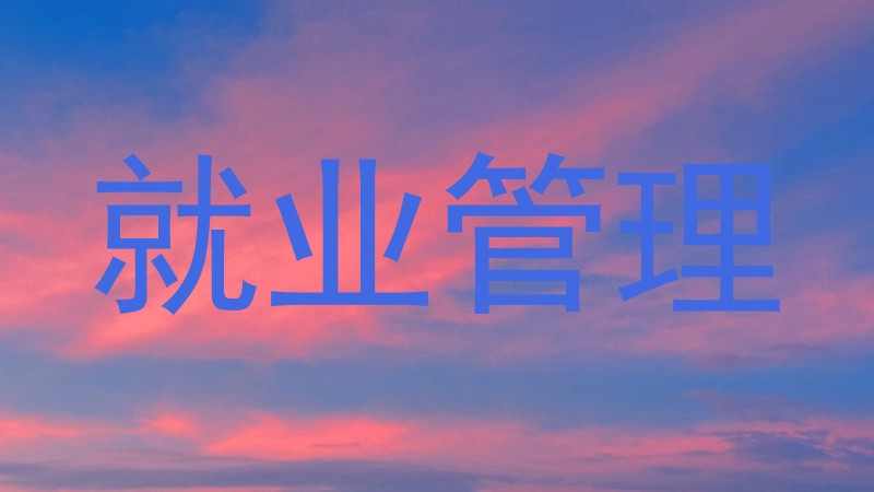 就业管理
