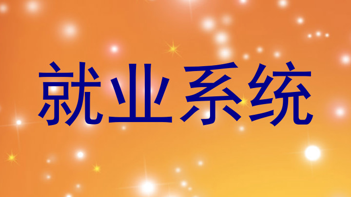 就业系统