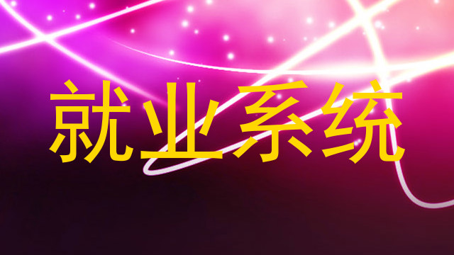 就业系统