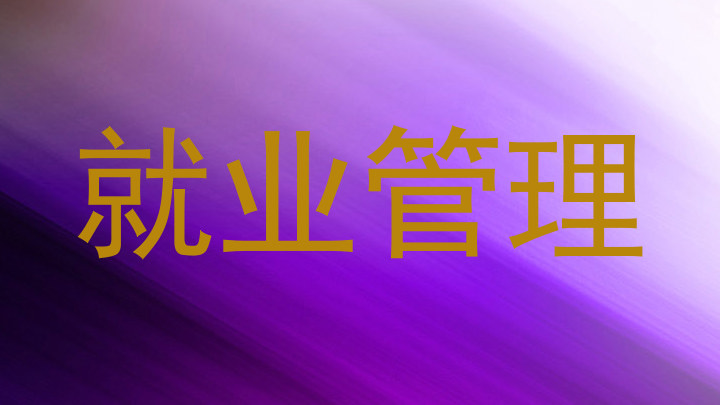 就业管理
