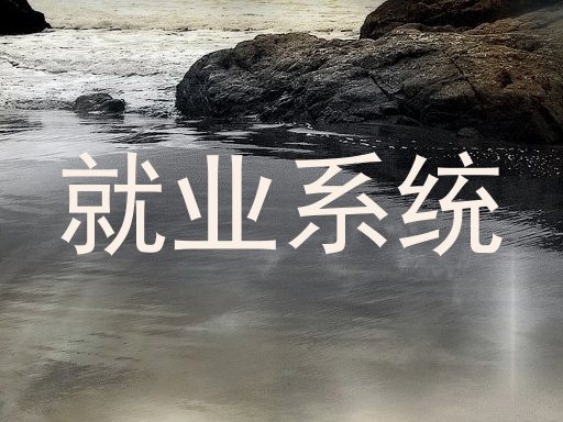 就业系统