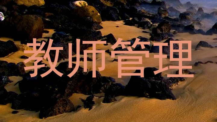 教师管理