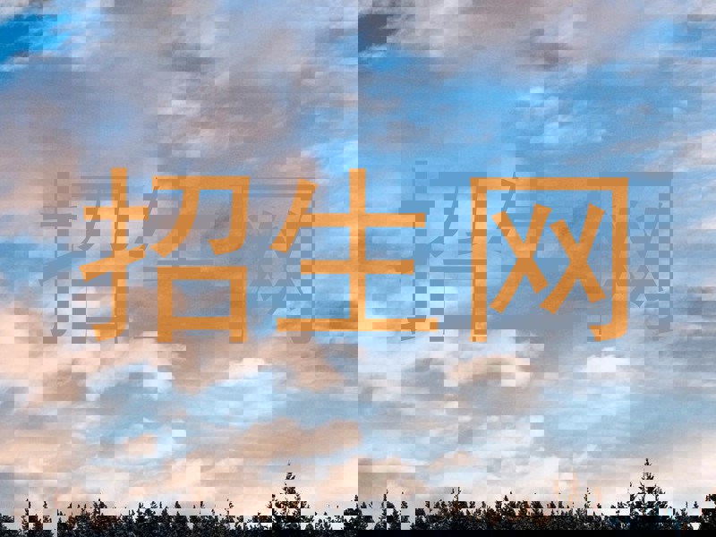招生网