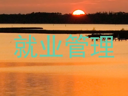 就业管理