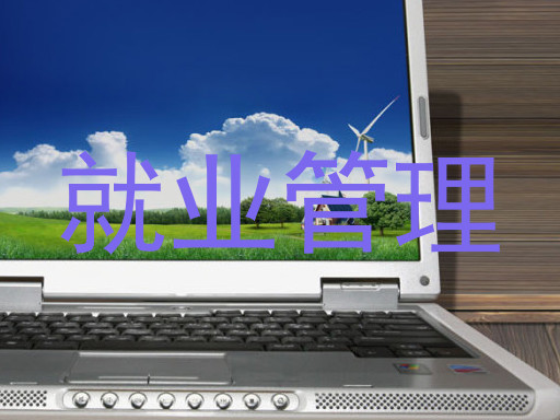 就业管理