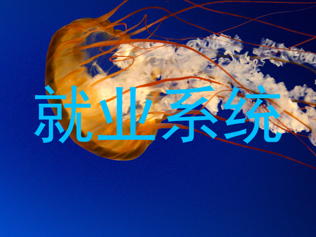 就业系统
