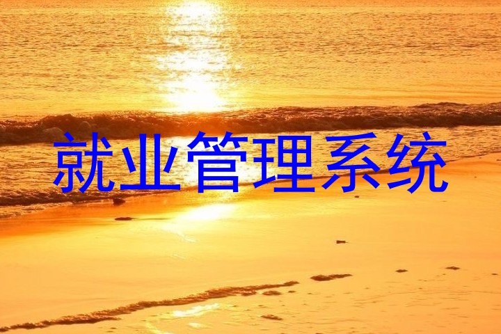 就业管理系统