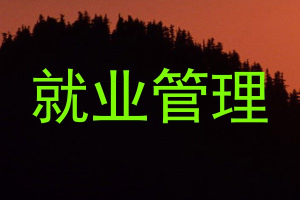 就业管理