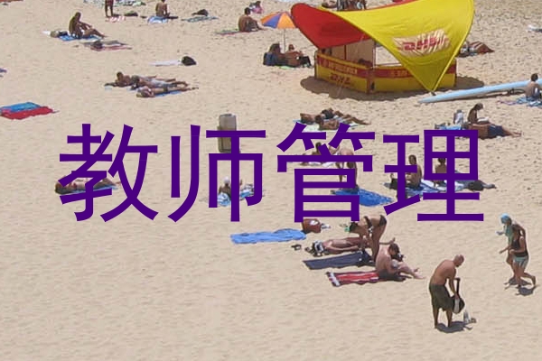 教师管理