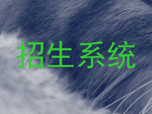 招生系统