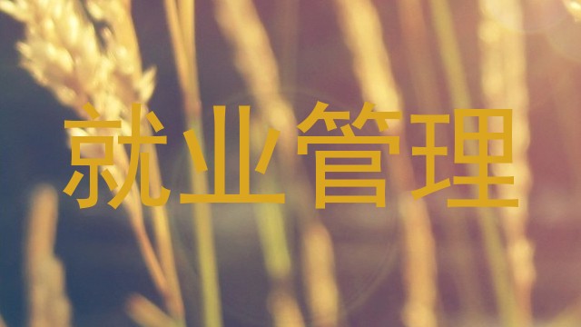 就业管理