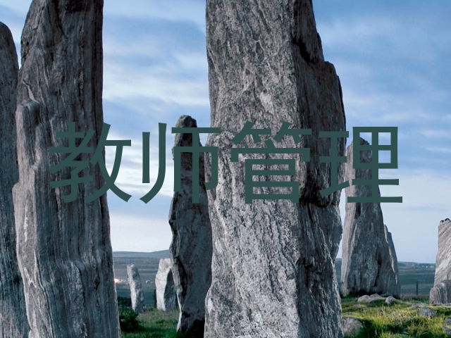教师管理