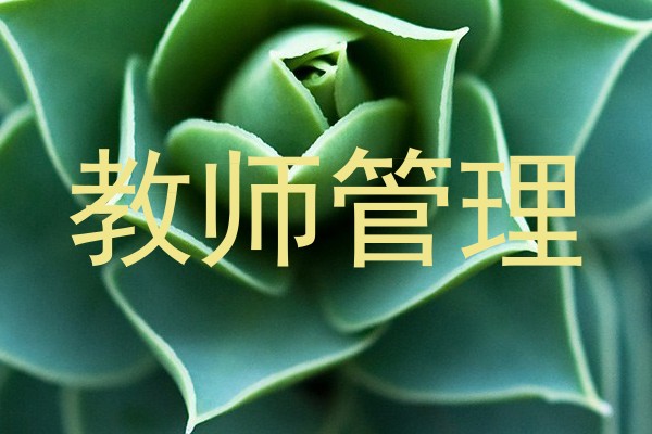教师管理