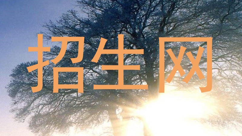 招生网