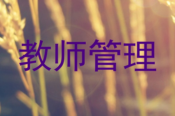 教师管理